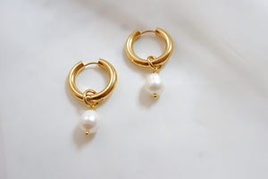 THE SEA SHELL HOOPS