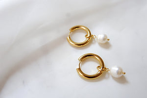 THE SEA SHELL HOOPS